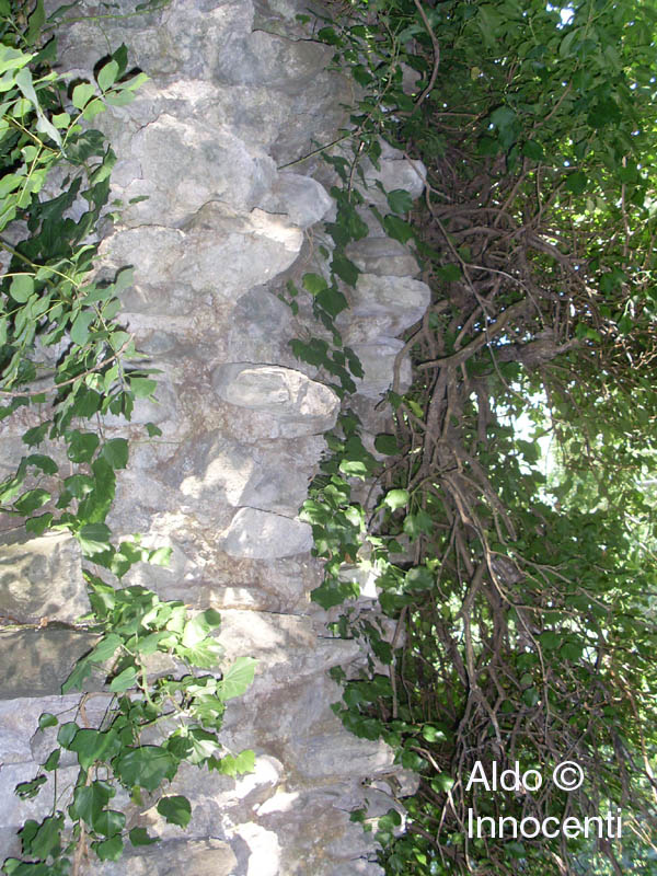 PITECCIO: ROVINE DEL CASTELLO 4' IMMAGINE